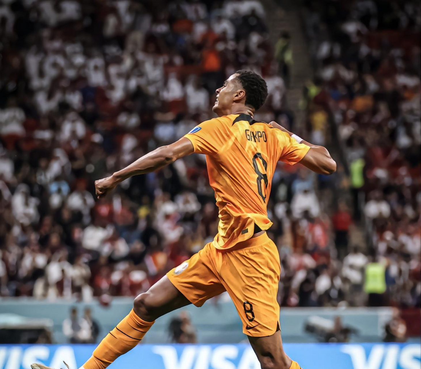 关于博洛尼亚新援上阵破门，首秀贡献进球的信息