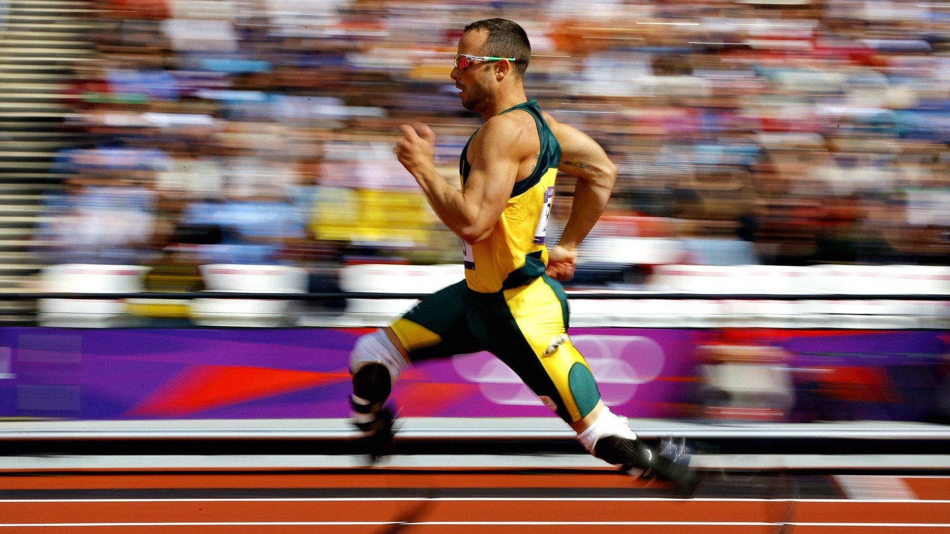 绿茵场与乒乓台的双重奏，葡萄牙轻取韩国，奥恰洛夫状态如日中天