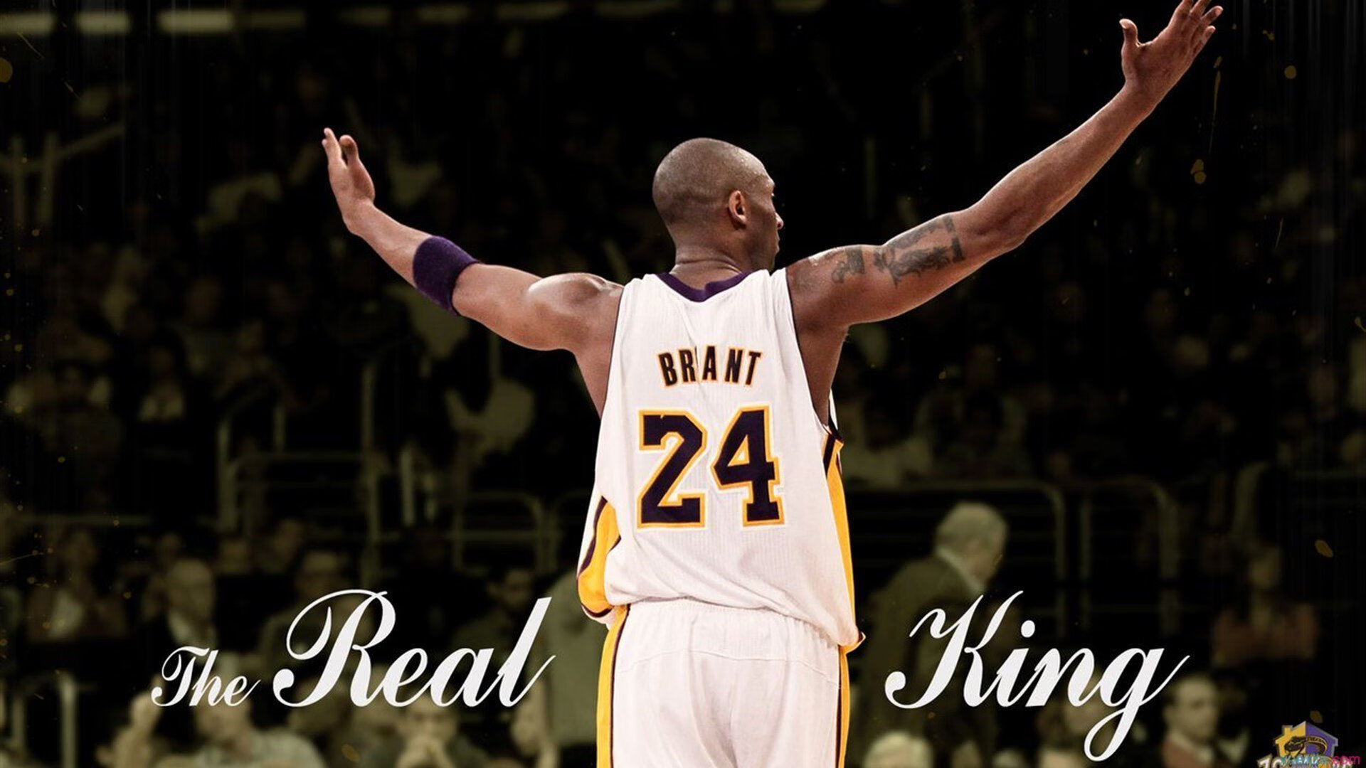 那一夜，佩雷兹肩扛雷诺穿越风暴—记一场改写车队命运的唯一胜利